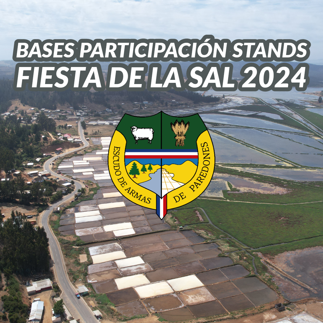 Bases de participación Fiesta de la Sal 2024